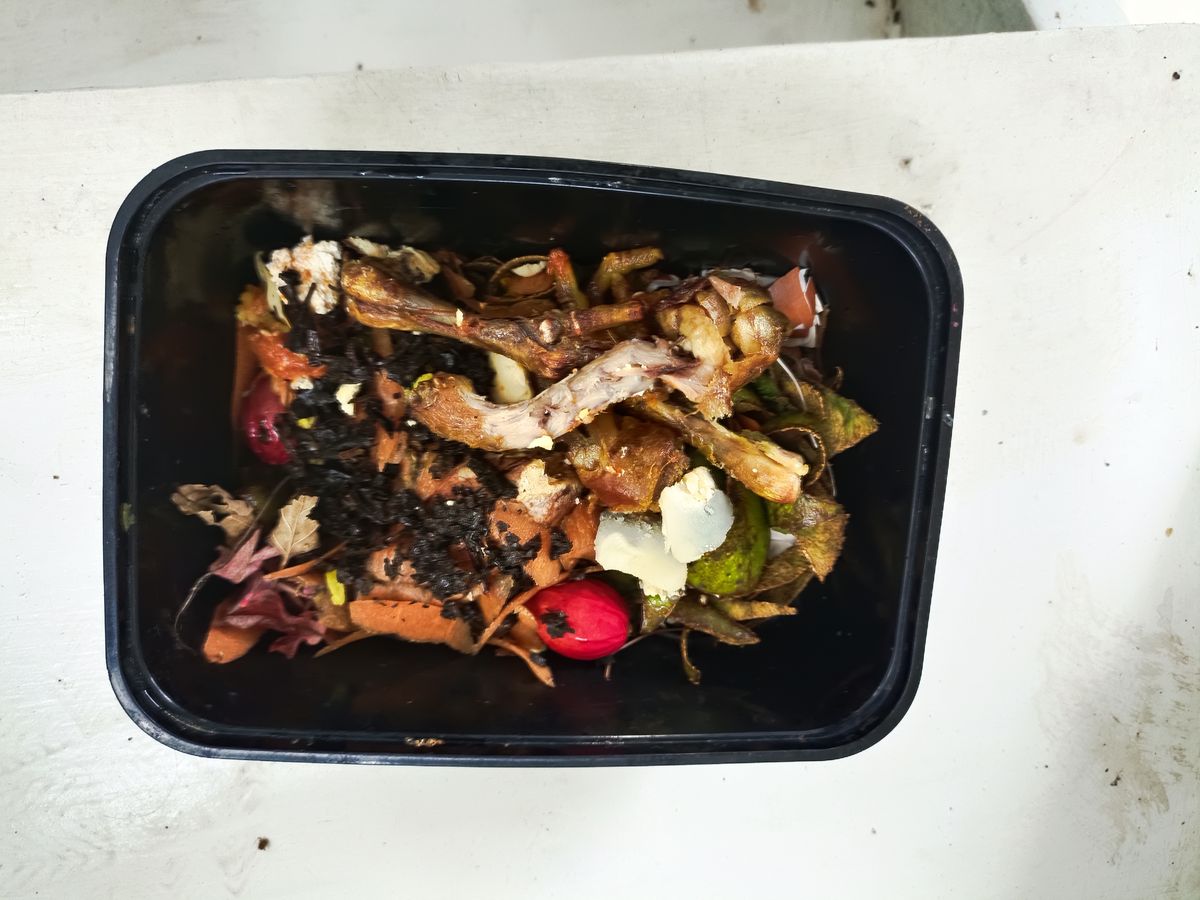 Langkah Mudah Mengolah Sisa Dapur Jadi Pupuk Kompos yang Bikin Tanaman Subur