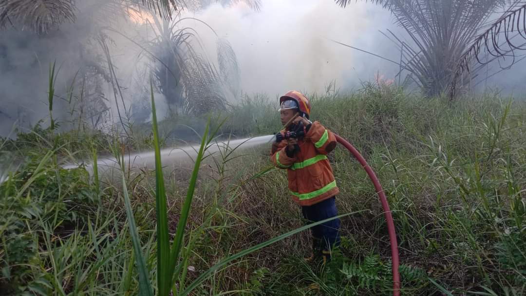 Memasuki Musim Kemarau Kebakaran Hutan dan Lahan Mulai Terjadi di Kabupaten Mesuji