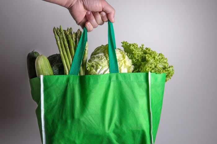 Gaya Hidup Ramah Lingkungan: Belanja Pakai Tas Kain Jadi Tren Baru