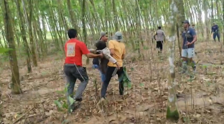 Kades di Lamtim Meninggal Usai Diamuk Gajah Liar Hutan Larangan