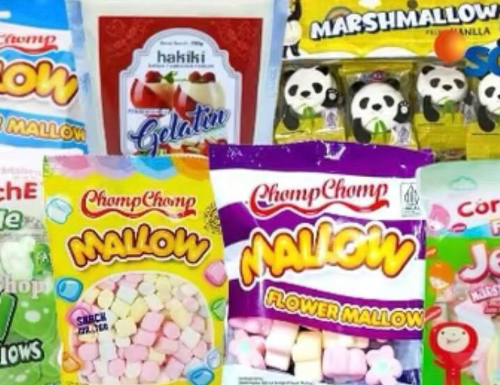 Ini Dia 7 Prodak Makanan Mengandung Babi, Umat Muslim Harus Tahu!