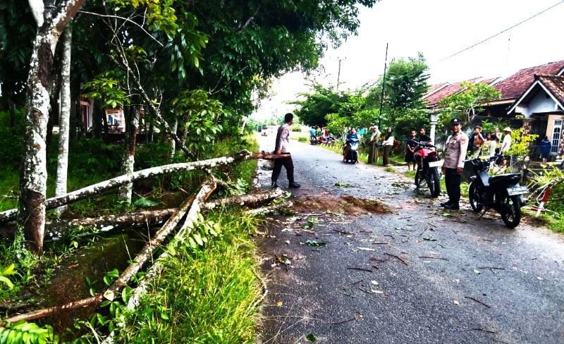 Tragedi Pohon Tumbang, Honorer Pemkot MD, Ayah Luka Parah