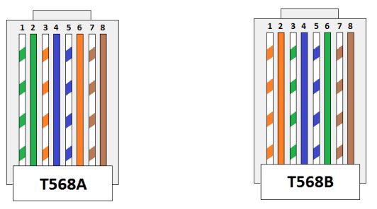 Memahami Kabel LAN, RJ45, serta T568A dan T568B: Dasar Jaringan yang Perlu Diketahui Secara Sederhana