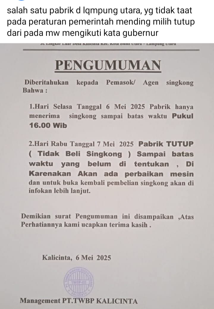 Pabrik Respon Negatif Penetapan Harga Singkong oleh Gubernur Lampung, Langsung Tutup Dalih Mesin Rusak