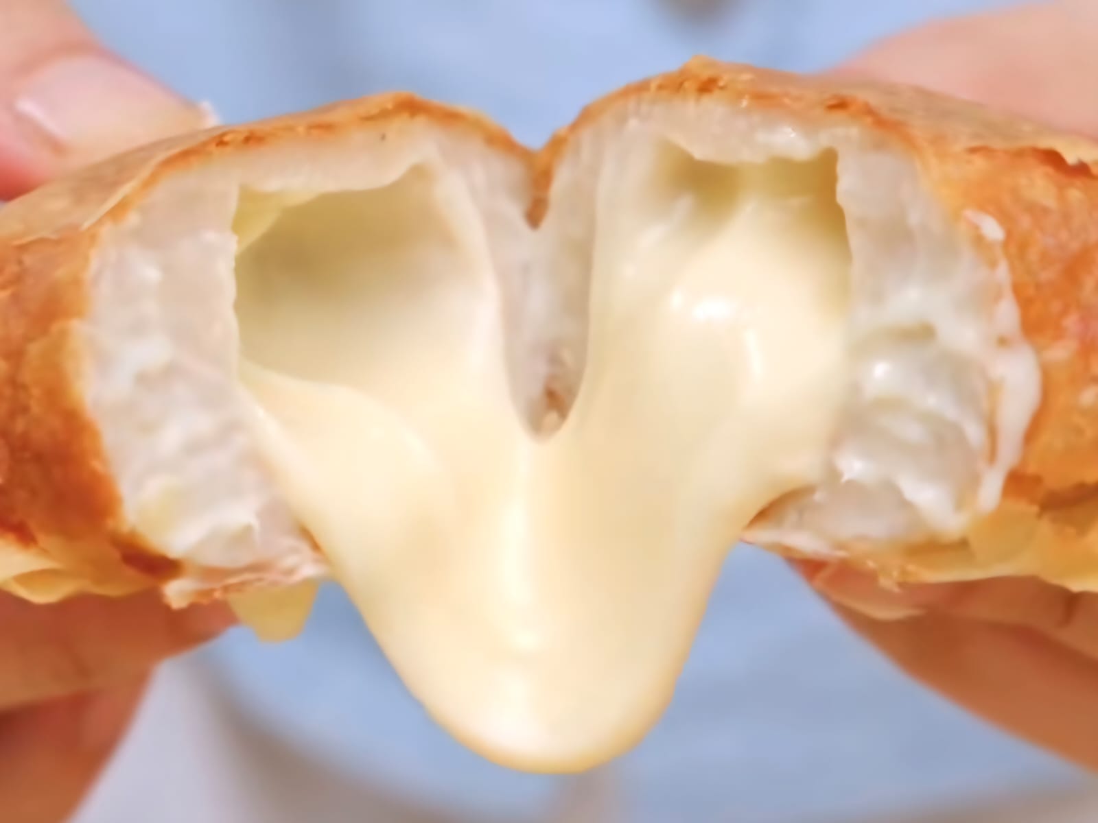 Ini Dia! Resep Dimsum Goreng Lumer Favorit Netizen yang Bisa Kamu Coba Dirumah.