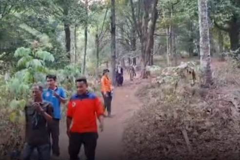 Dua Pendaki Dievakuasi dari Gunung Gamalama Usai Kebakaran
