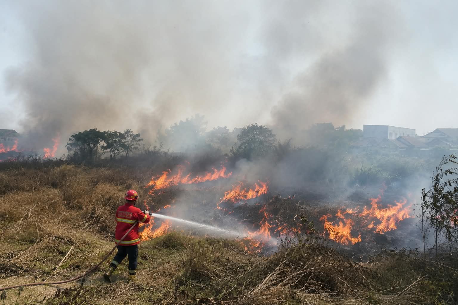 Dua Lahan Terbakar di Telukbetung Timur, Api Sempat Mendekati Kampung Selirit