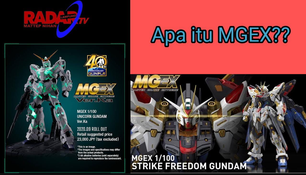 Apa Itu MGEX (Master Grade EXtreme) ?