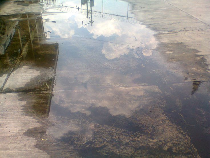 Ancaman di Balik Tenangnya Genangan: Mengapa Still Water Begitu Berbahaya?