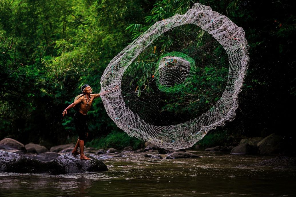 Bela Hak Alam dan Manusia, Indonesia Bersama Penjaga Hutan Dunia Satukan Suara