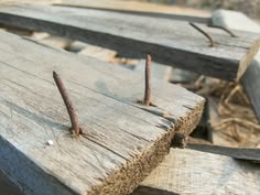 Tertusuk Paku? Berikut Langkah Pertolongan Pertama untuk Mencegah Tetanus