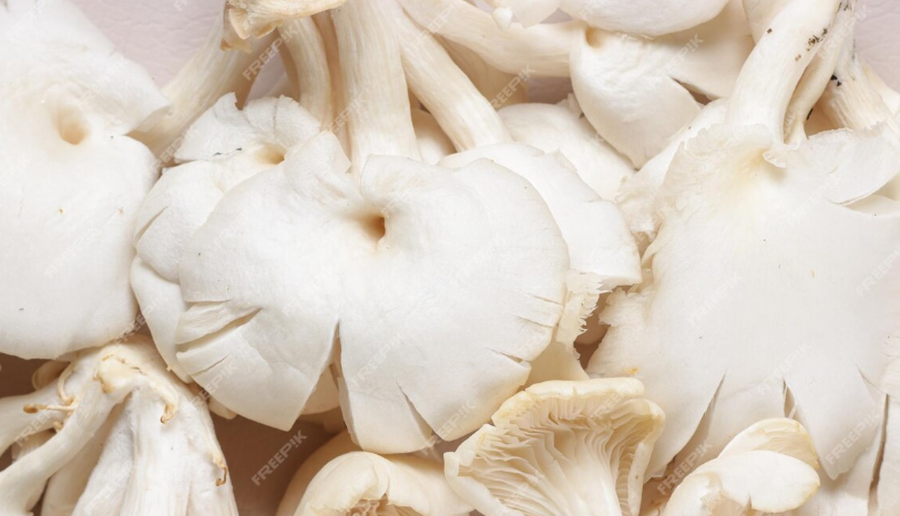 Kaya Manfaat Jamur Bagi Kesehatan Tubuhmu, Cek Cara Pengolahannya! 