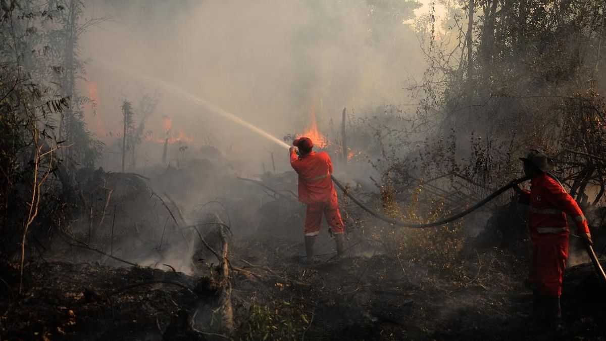 Karhutla Kalimantan Belum Padam, Pernyataan Lima Gubernur Jadi Sorotan Publik