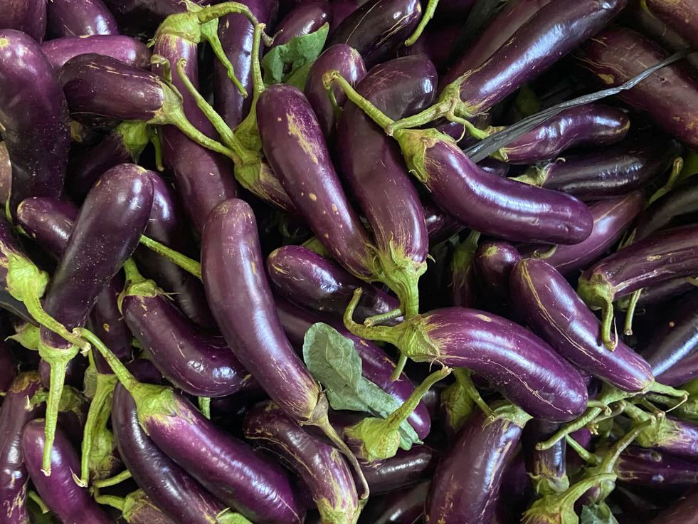 Manfaat Terong Ungu untuk Kesehatan Tubuh yang Jarang Diketahui