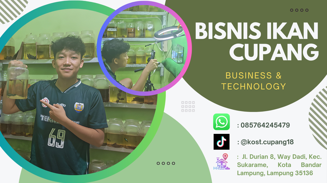 Dari Hobi Jadi Cuan, Bisnis Ikan Cupang Kian Dilirik