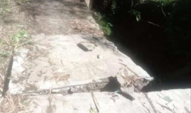 Jalan Penghubung Pekon Sukaraja - Turgak Hampir Putus, Warga dan Tokoh Masyarakat Desak Pemkab Lampung Barat