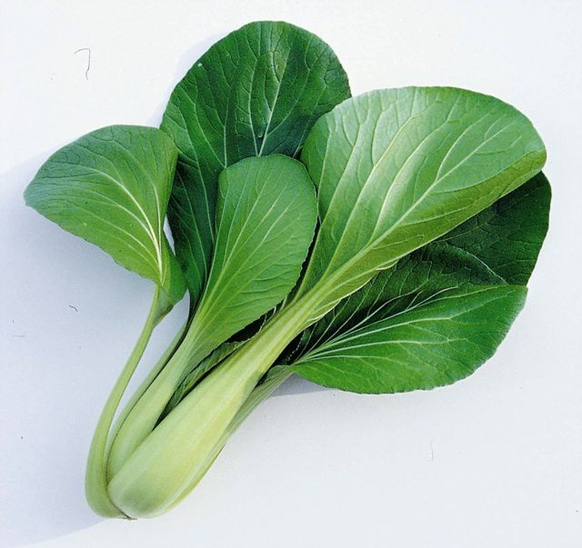 Penuh Nutrisi, Ini Lima Manfaat Pakcoy untuk Kesehatan