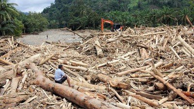 Kemenhut Buka Suara Soal Ribuan Gelondongan Kayu Terseret Banjir Sumatera