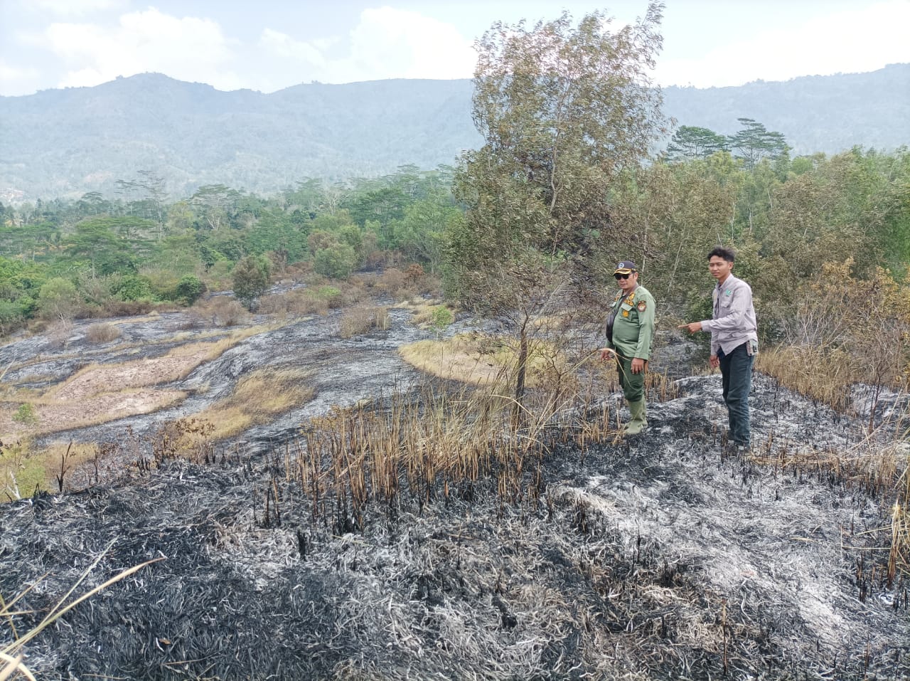 Padang Savana Seluas 2 Hektare di Suoh Terbakar, Petugas Lakukan Penyisiran Sisa Api