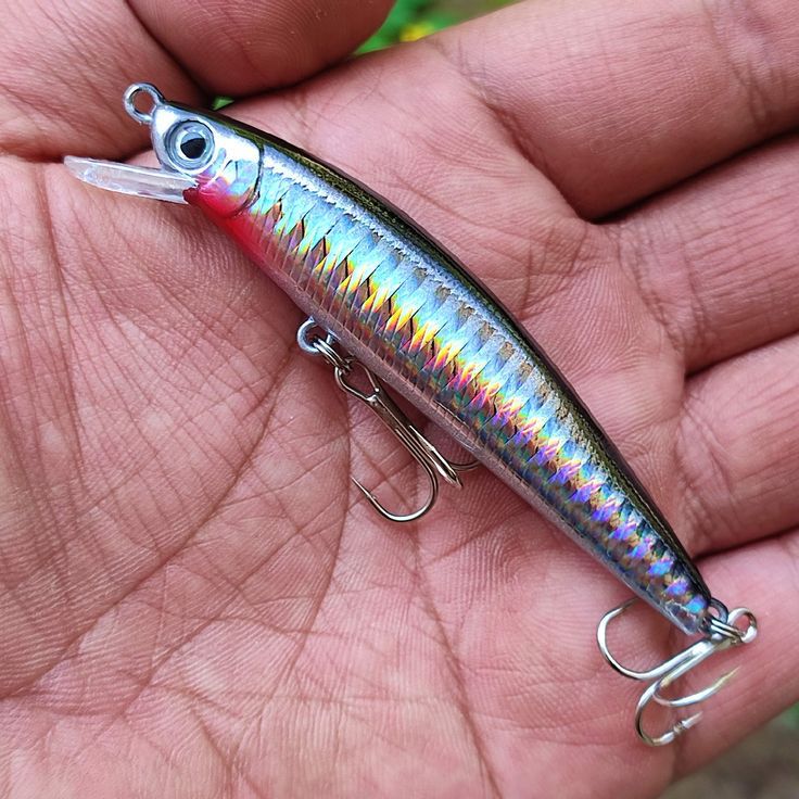 Umpan yang Baik untuk Mancing di Laut: Panduan Lengkap untuk Hasil Maksimal