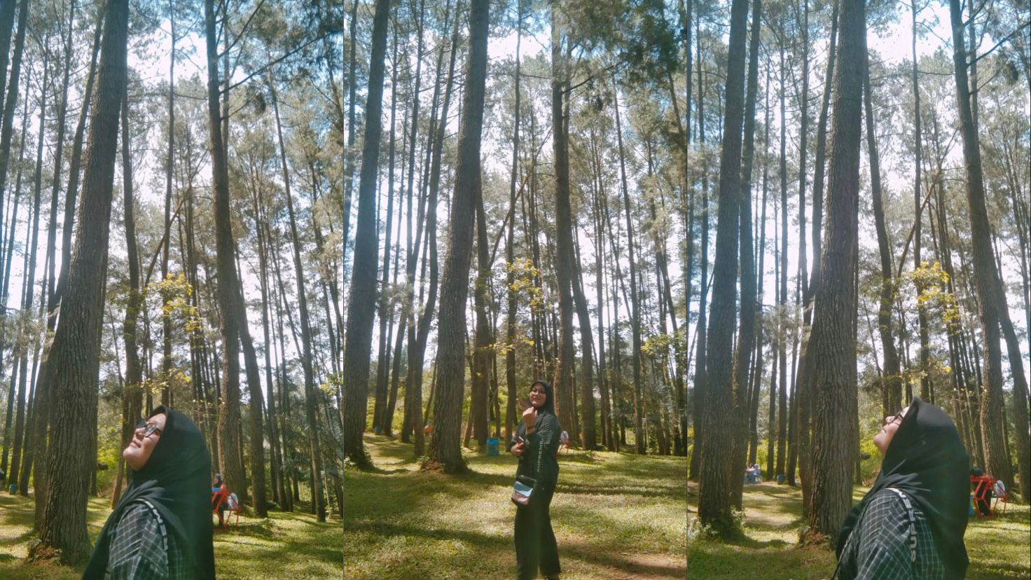 Pesona Pinusan Lampung Barat,Pas Buat Healing dan Cari Ketenangan 