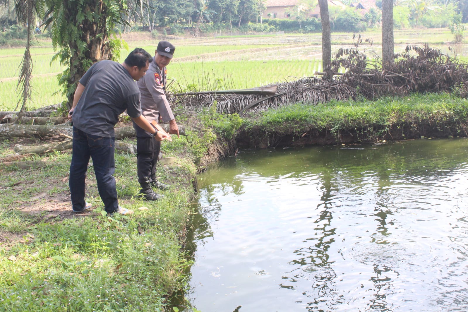 Diduga Terpeleset, Bocah 8 Tahun di Pringsewu Meninggal Tenggelam di Kolam Ikan