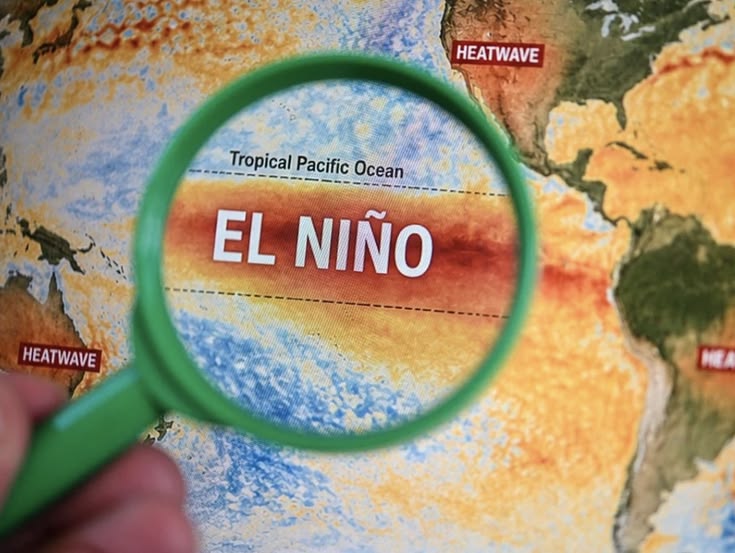 Pasifik Makin Panas, El Nino Ekstrem Mengancam Pola Cuaca Dunia