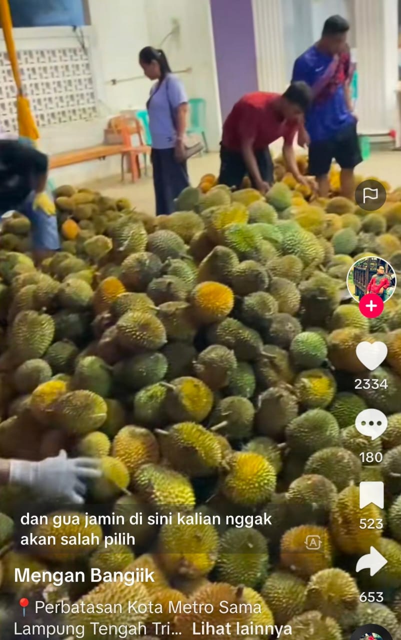 Peringatan Dini : Lampung Mulai Dibanjiri Durian Dari Sumsel dan Bengkulu 