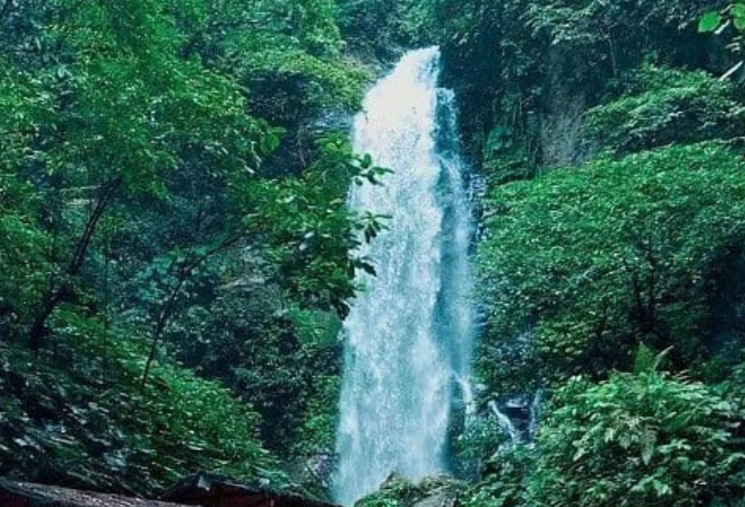 Air Terjun Way Tayas: Hidden Gem di Kaki Gunung Rajabasa yang Bikin Adem Kepala