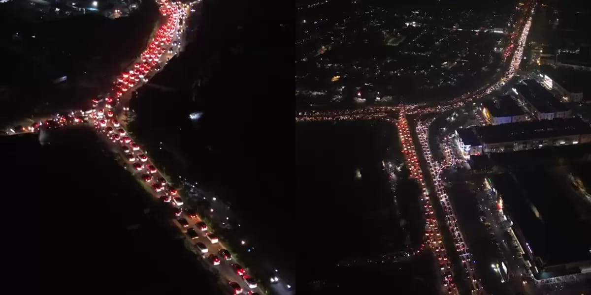  Batam-Bintan Dilanda Blackout dan Gangguan Internet, PLN Duga Dipicu Monyet Masuk Gardu