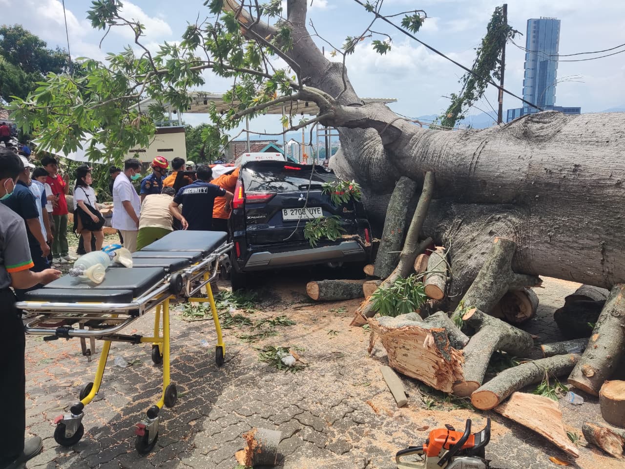 Pohon Raksasa Tumbang di Bukit Randu, Dua Mobil Ringsek, Satu Pengemudi Terjebak