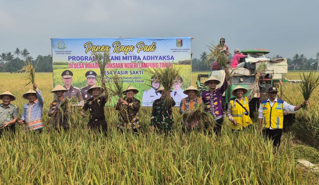Kejari Lampung Timur Panen Raya Bersama Petani Mitra Adhyaksa, Perkuat Komitmen Swasembada Pangan