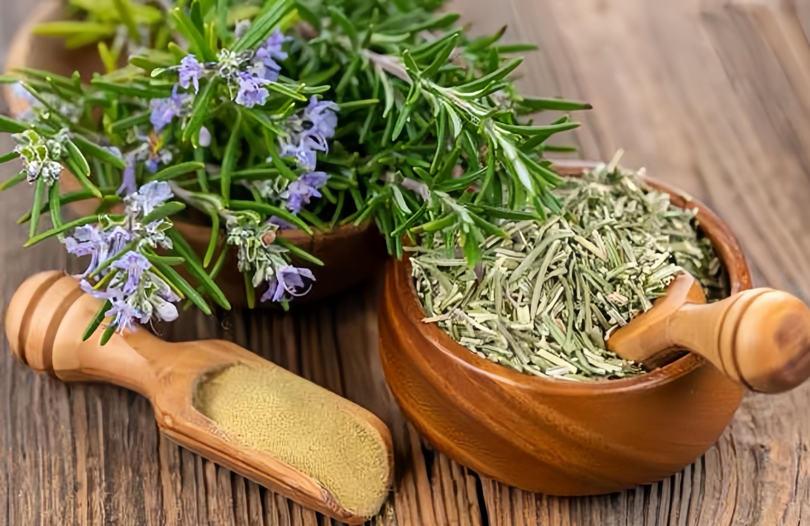 Bukan Sekadar Tanaman Dapur, Ini Manfaat Rosemary yang Jarang Diketahui