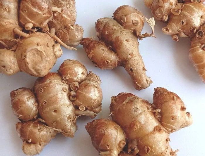 Kencur untuk Kesehatan: Fakta dan Khasiat yang Perlu Kamu Tahu!