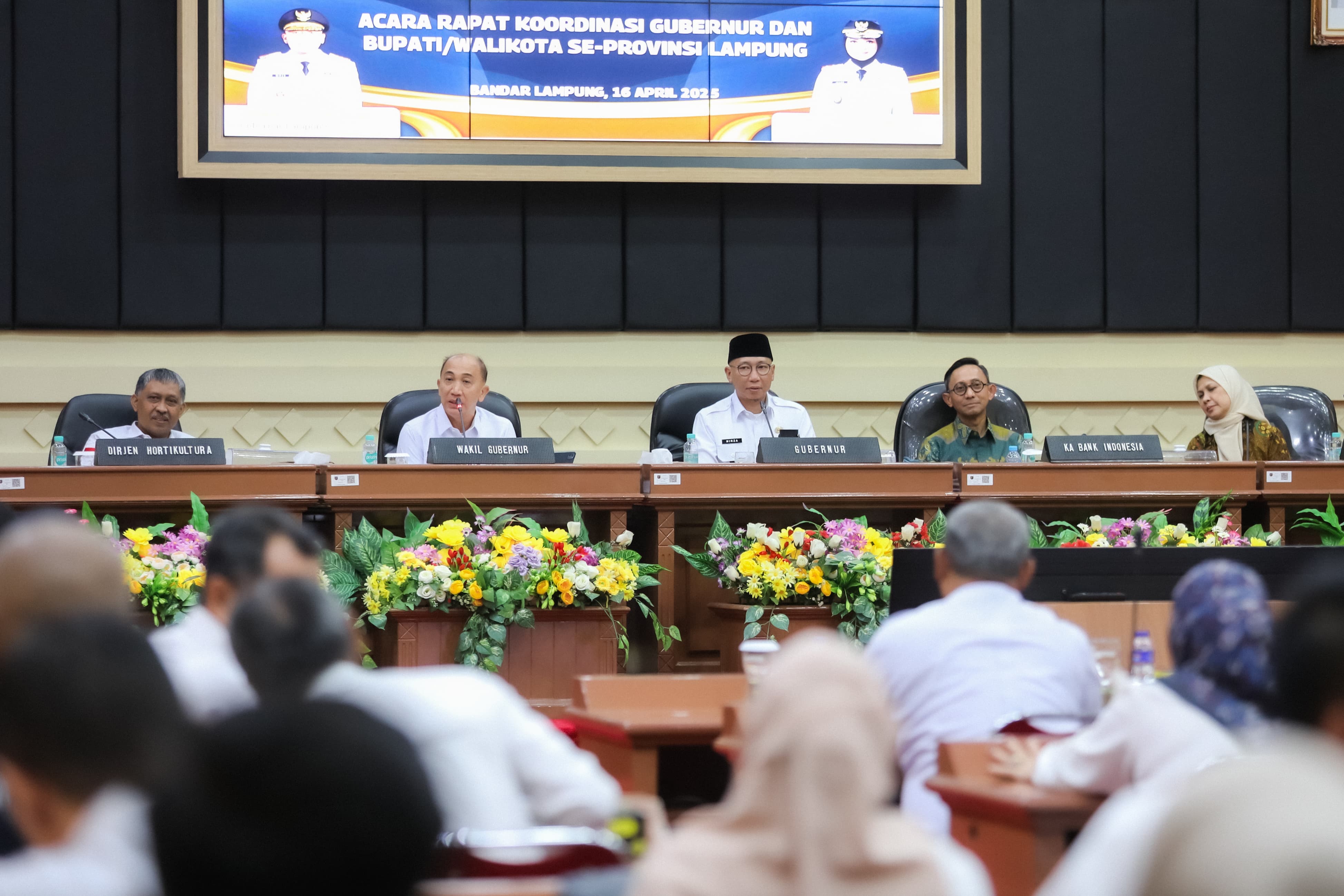 Lampung Desak Pusat Putuskan Harga dan Mutu Singkong, Ini Gambaran Harganya