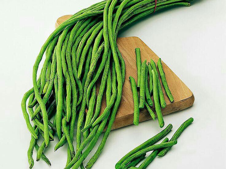 Kenali Khasiat Kacang Panjang untuk Hidup Lebih Sehat