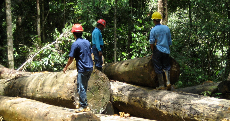 Pemerintah Resmi Cabut Izin Operasi Delapan Perusahaan Penyebab Banjir Sumatera