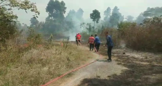 Dua Kebakaran Lahan Terjadi di Kalianda, Diduga Dipicu Pembakaran Sampah