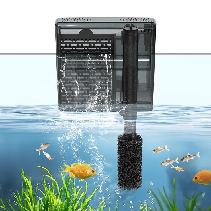 5 Rekomendasi Merek Filter Aquascape dari Pemula hingga Profesional