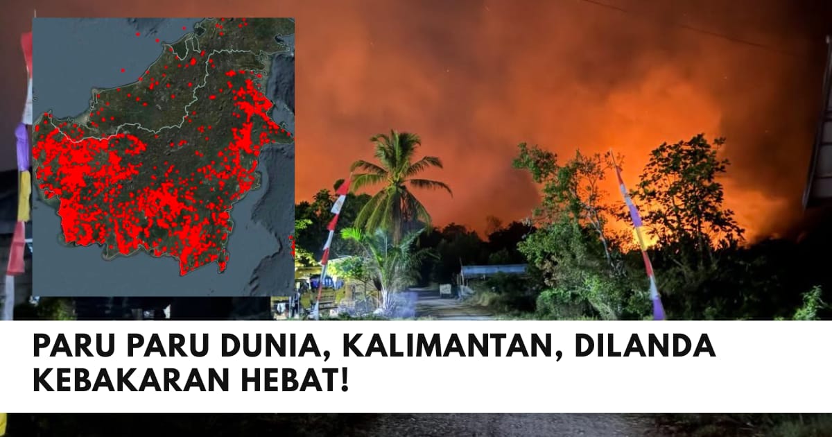 Kabut Asap dari Kalimantan Lintas Negara, Malaysia Ikut Terdampak