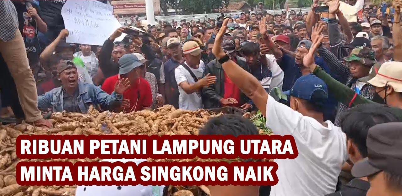 Ribuan Petani Lampung Utara Minta Harga Singkong Naik