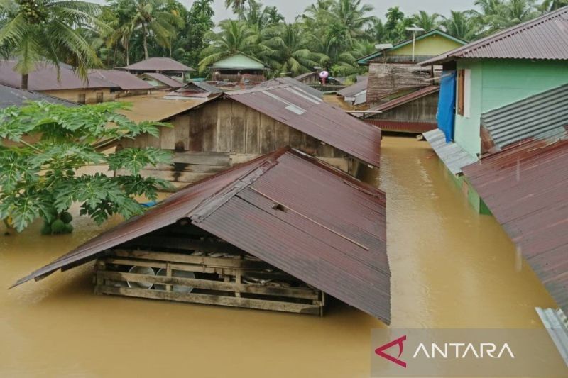 Banjir dan Longsor Renggut Puluhan Nyawa di Sumatera Utara, BNPB Tetapkan Situasi Darurat
