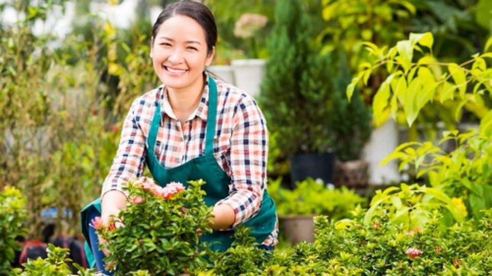 Tren Berkebun di Rumah, Hobi yang Kini Jadi Gaya Hidup