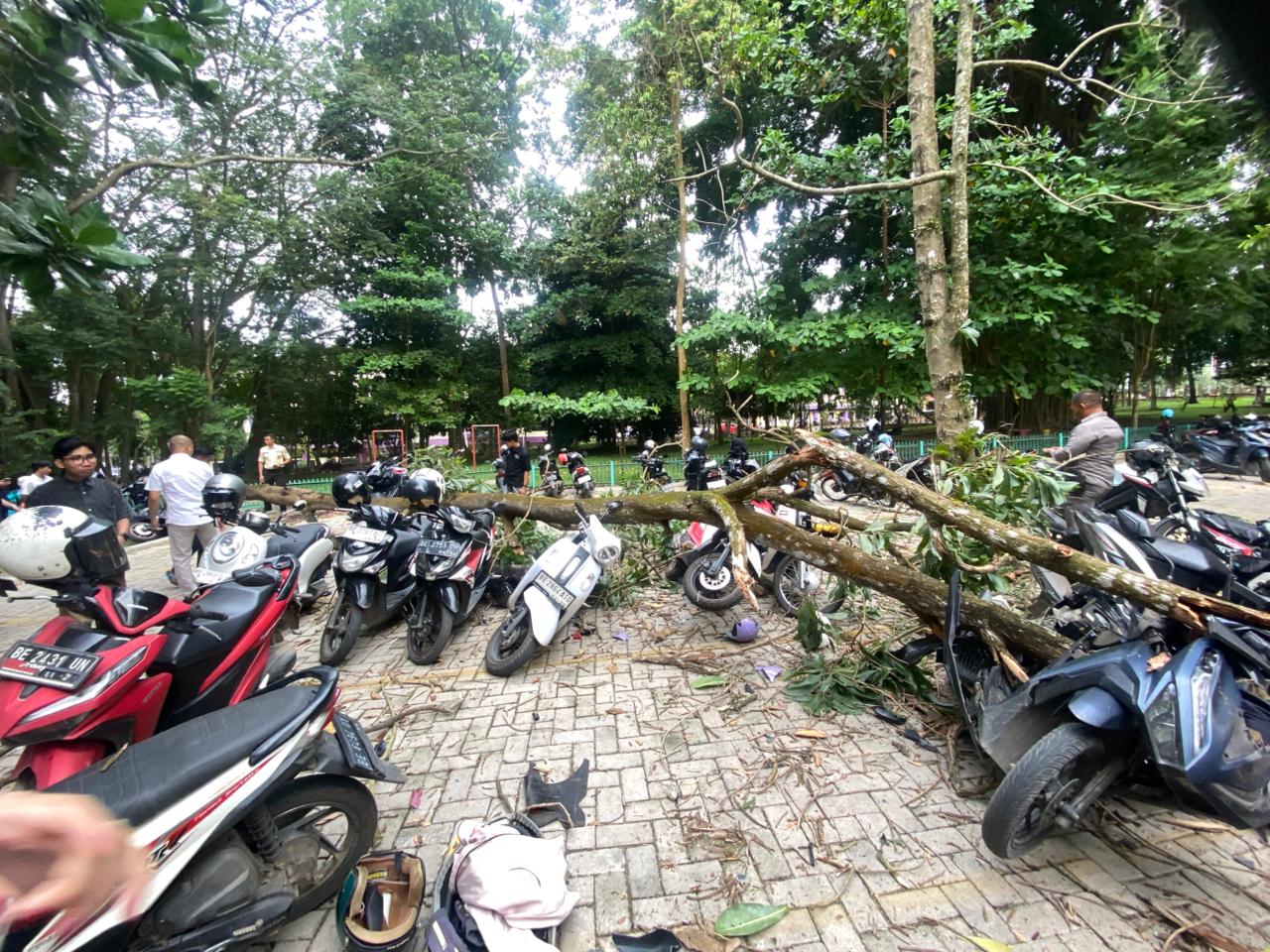 Ambruk Mendadak! Pohon di Parkiran Unila Hantam 6 Motor Mahasiswa