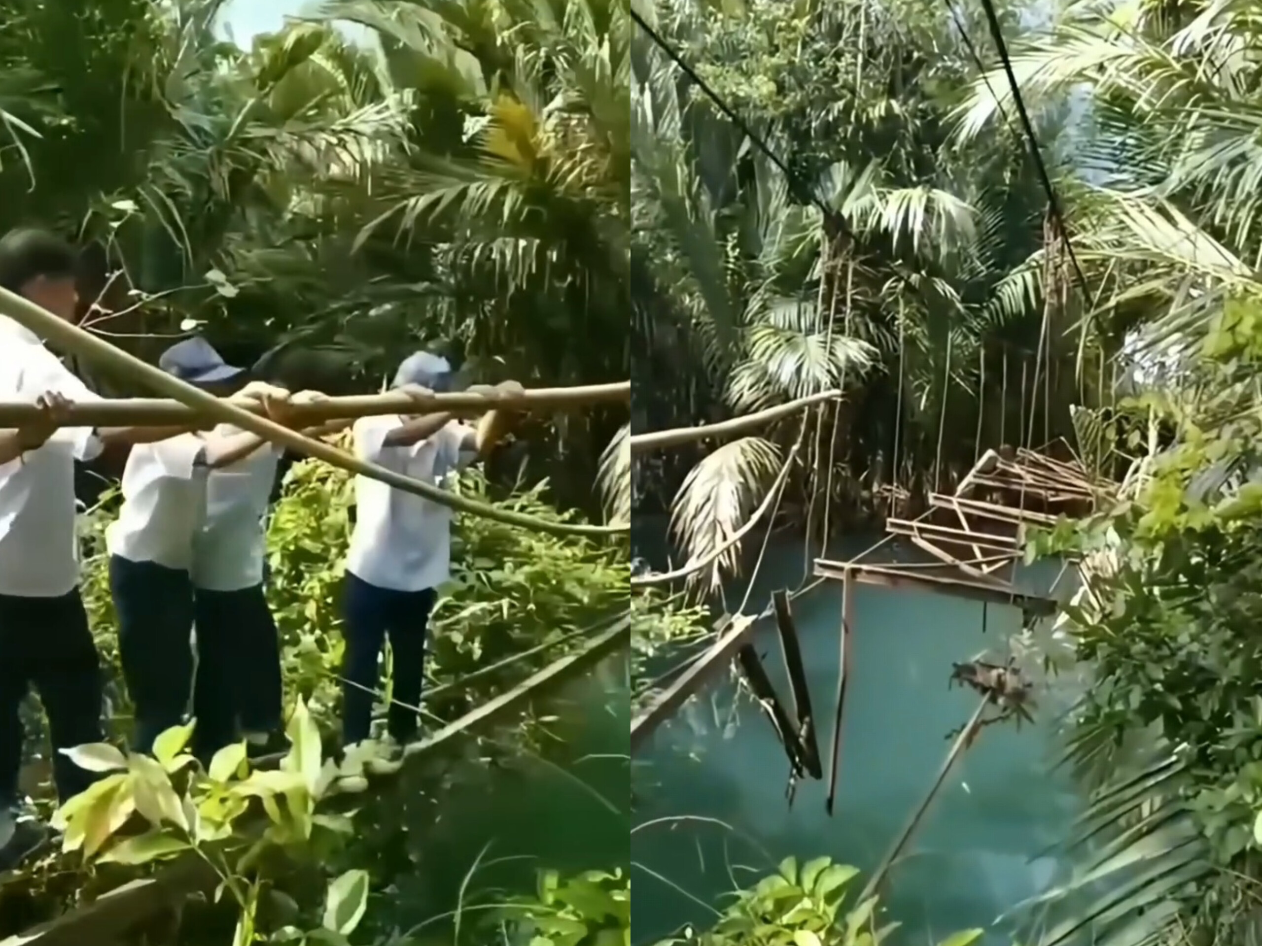Miris, Siswa di Tanggamus Rela Menyebrang Jembatan Nyaris Ambruk Demi Bersekolah