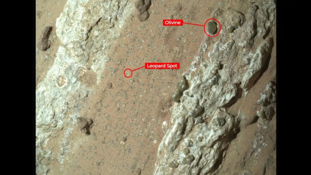 NASA Temukan Petunjuk Kehidupan Purba di Mars