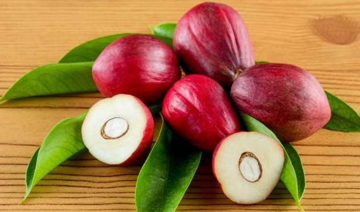 Mengenal Mahkota Dewa, Tanaman Herbal yang Banyak Dimanfaatkan Masyarakat