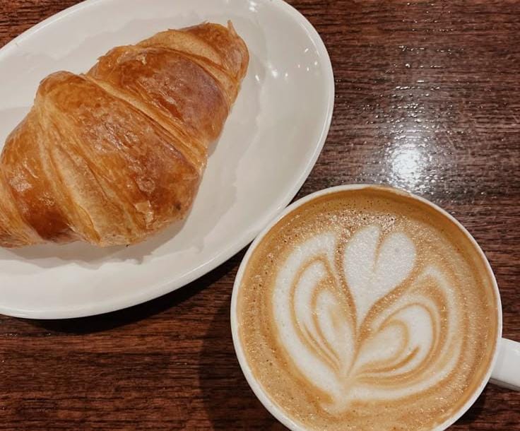 Nongkrong Bareng Anabul Kesayangan di Kafe Ramah Hewan Kota Bandar Lampung