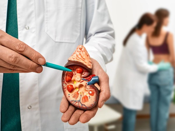 Tanpa Disadari, 5 Gejala Ini Bisa Menjadi Peringatan Awal Penyakit Ginjal