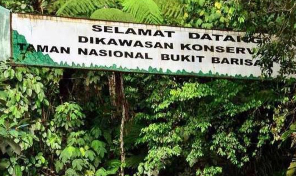 23 Perkara Kejahatan Kehutanan Terjadi di Bukit Barisan dalam 10 Tahun, 75 Pelaku Terseret Kasus